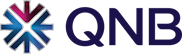 QNB Dijital Köprü Logo